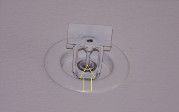 Painted Fire Sprinkler